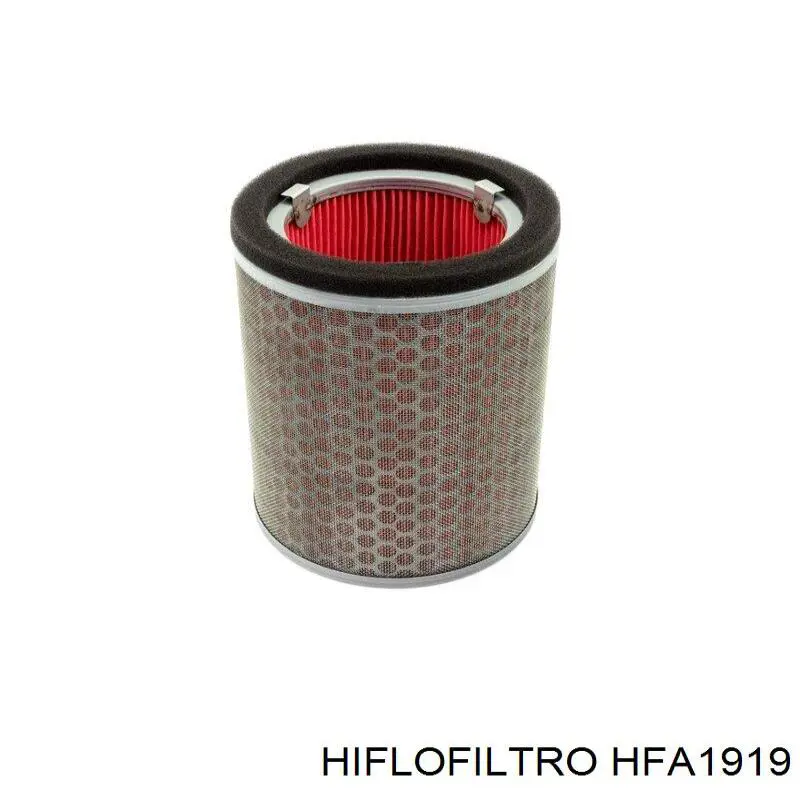 HFA1919 Hiflofiltro filtro de ar