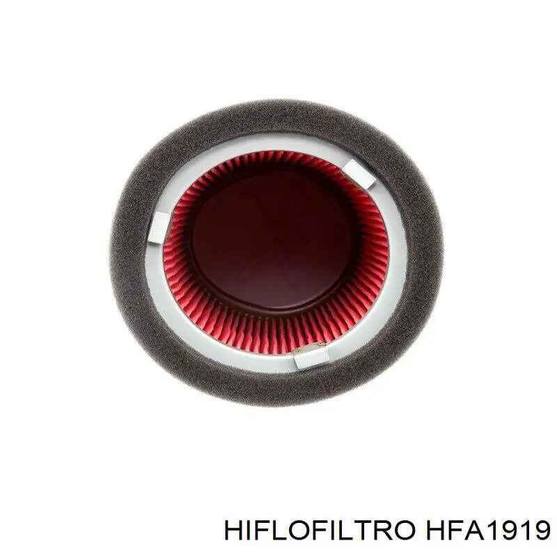 Элемент воздушного фильтра Hiflofiltro HFA1919 цена, от 27.20 USD