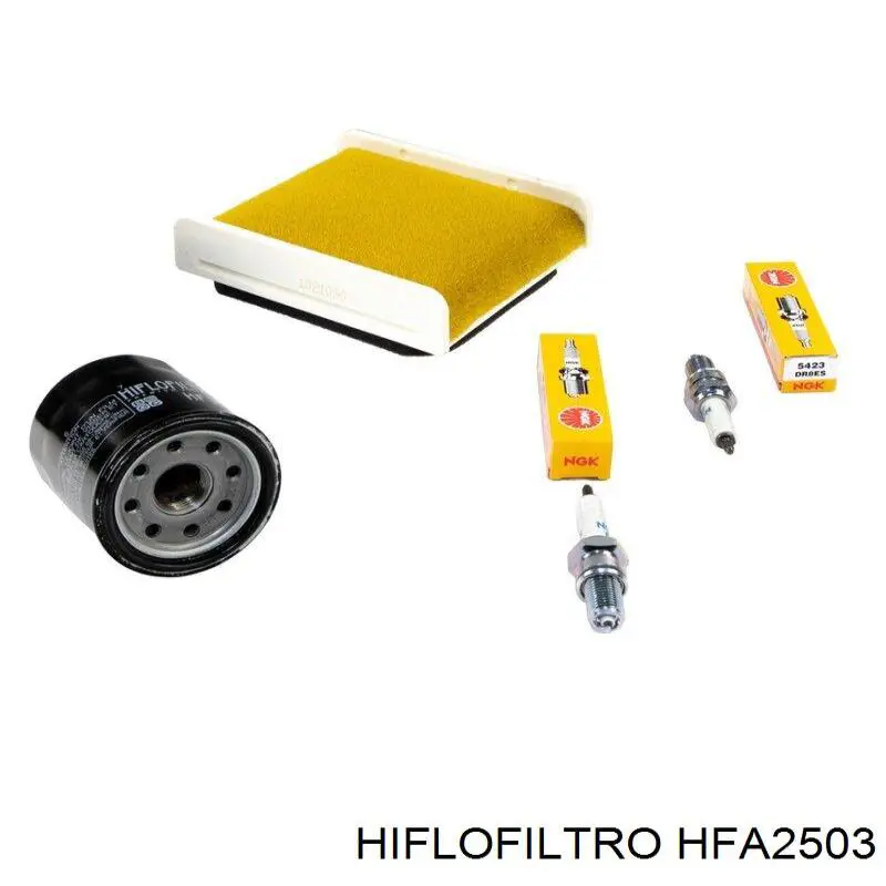 Воздушный фильтр HFA2503 Hiflofiltro
