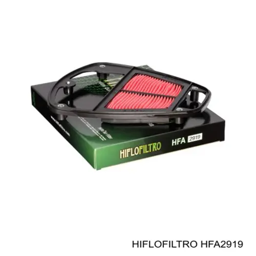 HFA2919 Hiflofiltro 