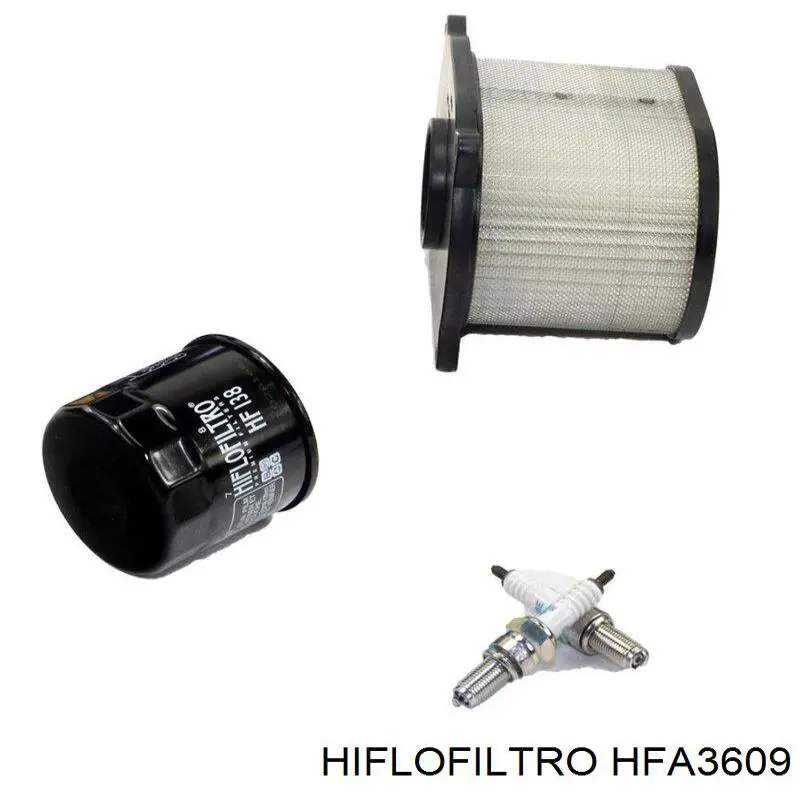 Элемент воздушного фильтра Hiflofiltro HFA3609 цена, от 29.15 USD