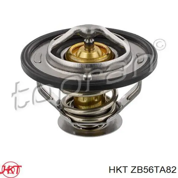 ZB56TA82 HKT