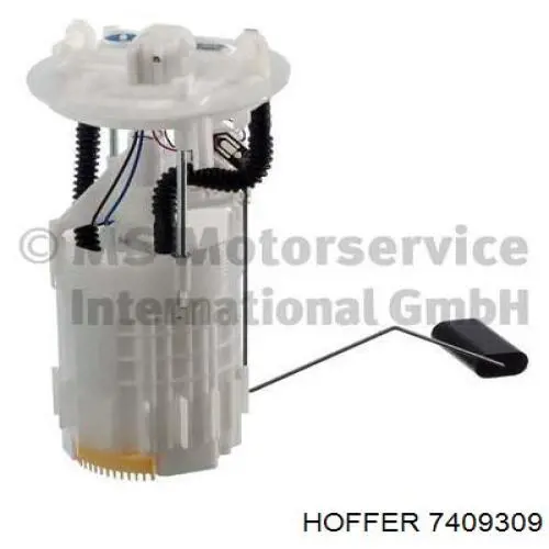 7409309 Hoffer