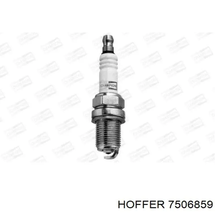 Купить 7506859 Hoffer Модуль топливного насоса
