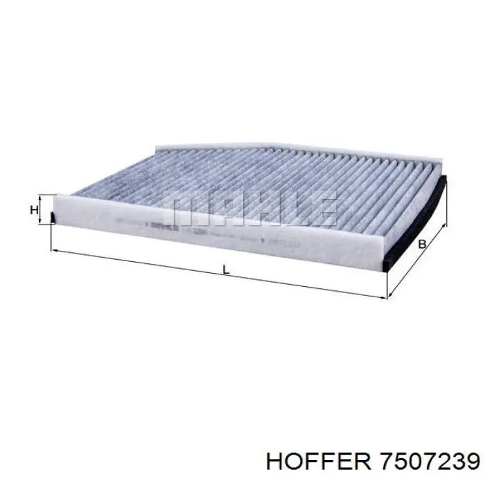 7507239 Hoffer 