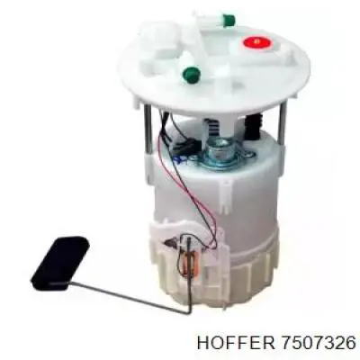 7507326 Hoffer 