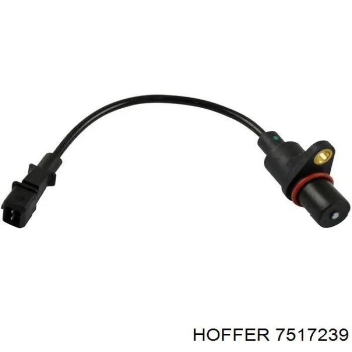 7517239 Hoffer