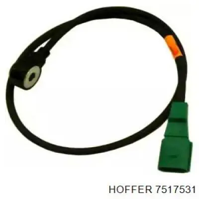 7517531 Hoffer Датчик самовоспламенения