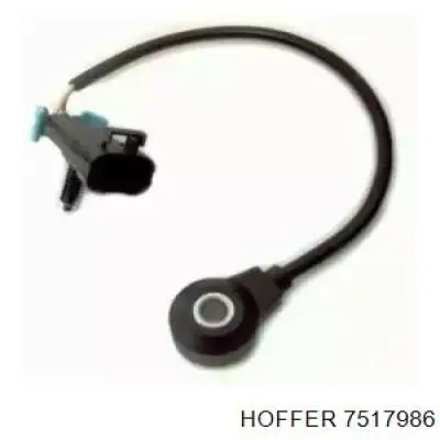 7517986 Hoffer Датчик самовоспламенения