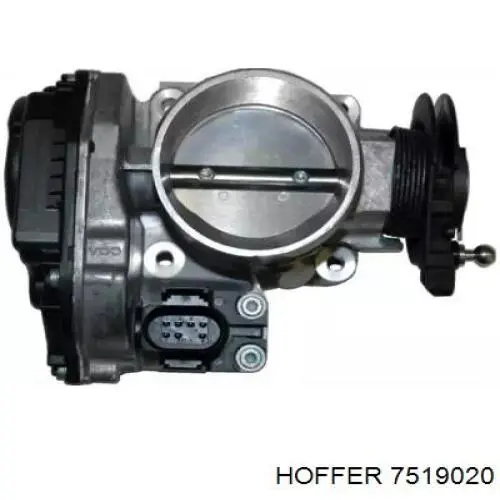 Дроссельная заслонка 7519020 Hoffer