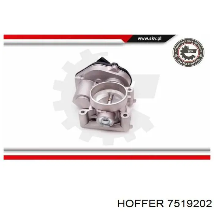 7519202 Hoffer Дроссельная заслонка