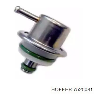7525081 Hoffer Регулятор давления в топливной рейке