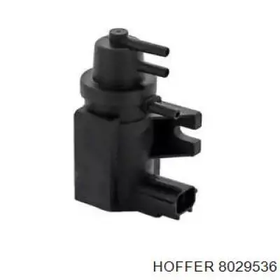 8029536 Hoffer 