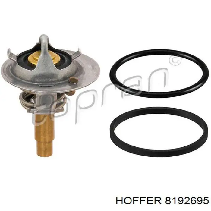 Термостат 8192695 Hoffer