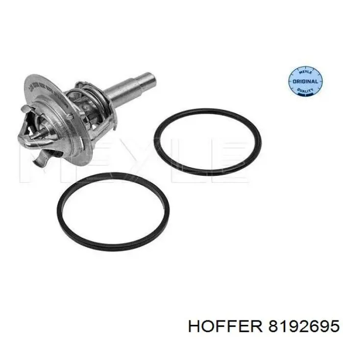 Термостат в сборе Hoffer 8192695