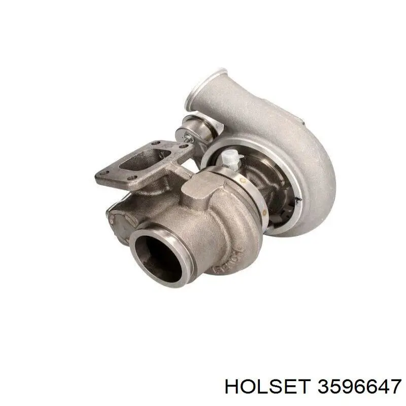 3596647 Holset 