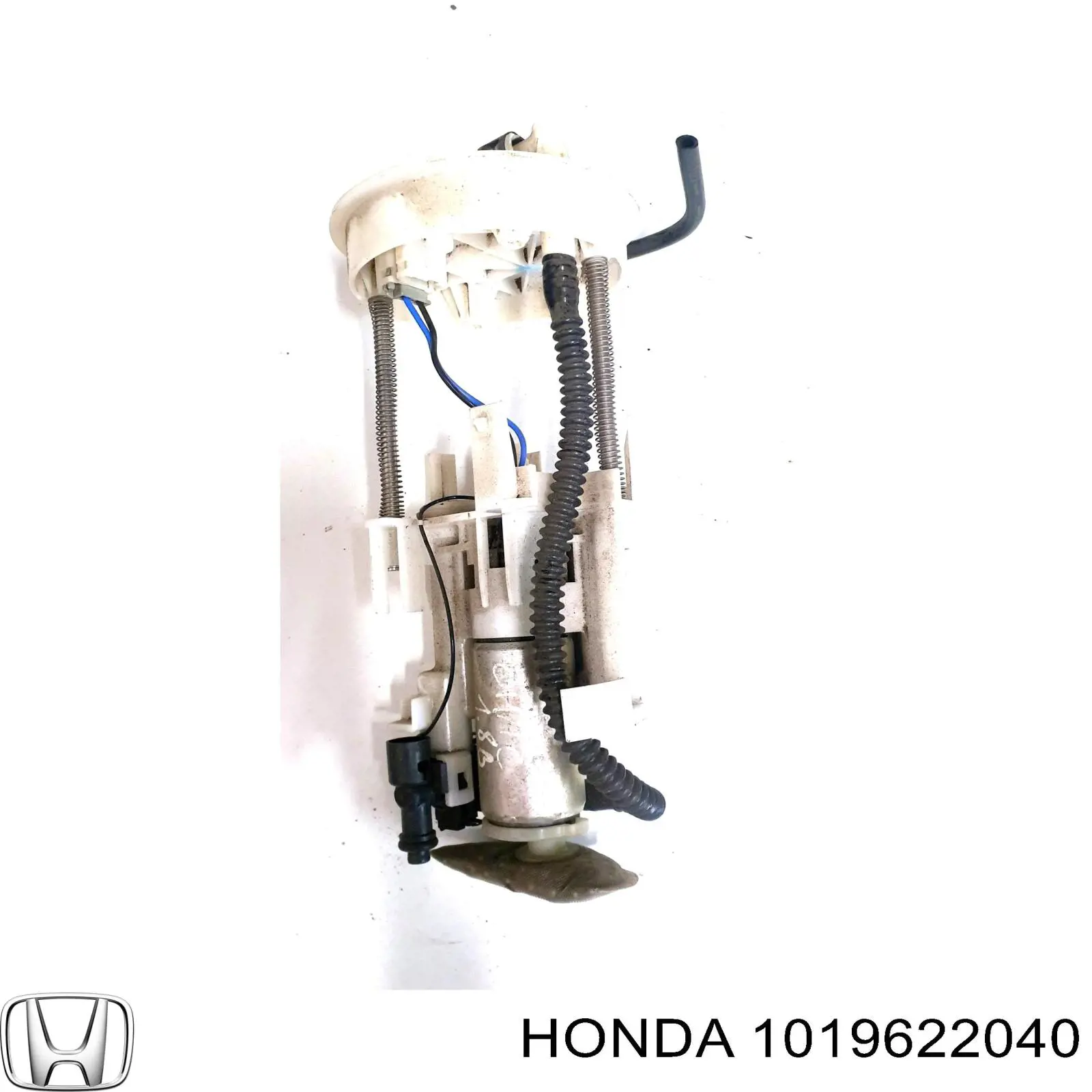 1019622040 Honda 