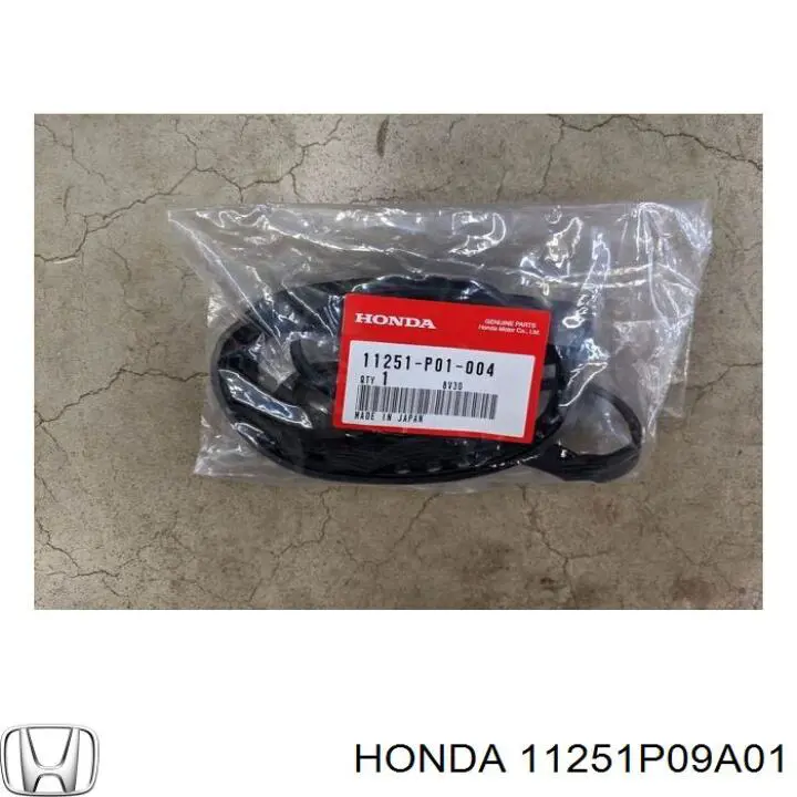 11251P09A01 Honda 