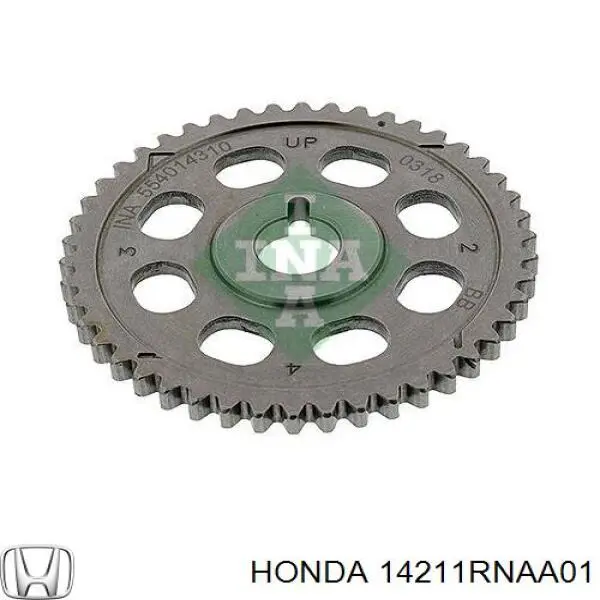Engrenagem de cadeia da roda dentada da árvore distribuidora de motor para Honda Accord (CU)