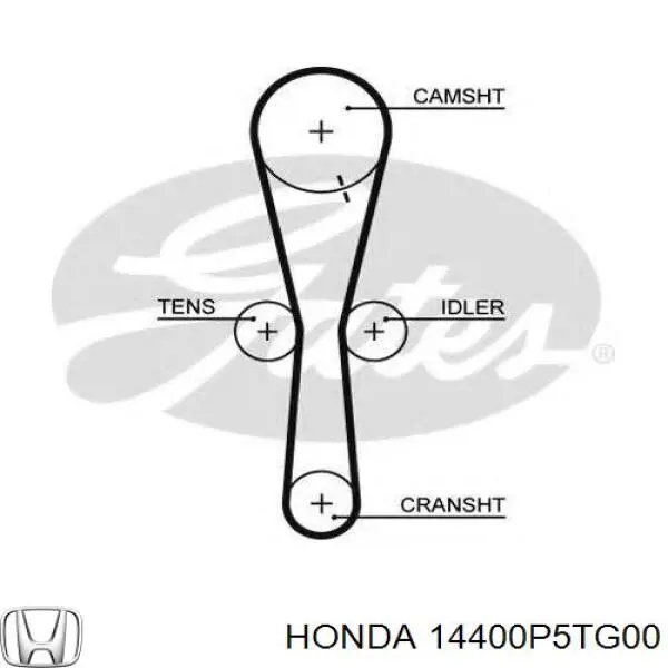 Correa distribucion 14400P5TG00 Honda