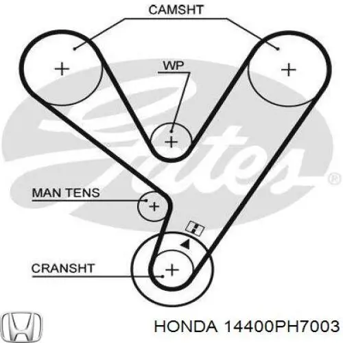 Зубчатый ремень Honda 14400PH7003 цена, от 44.57 USD