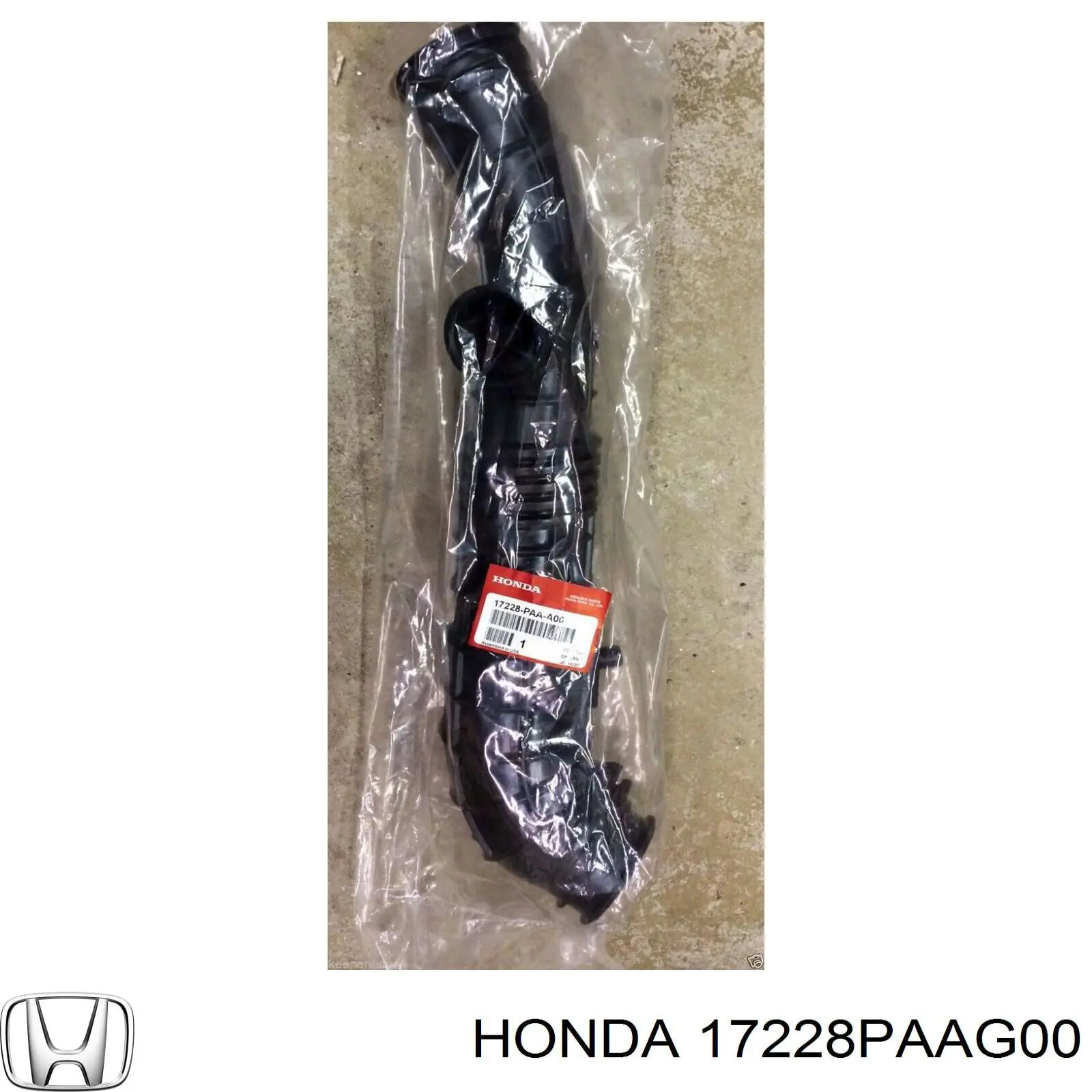  17228PAAG00 Honda