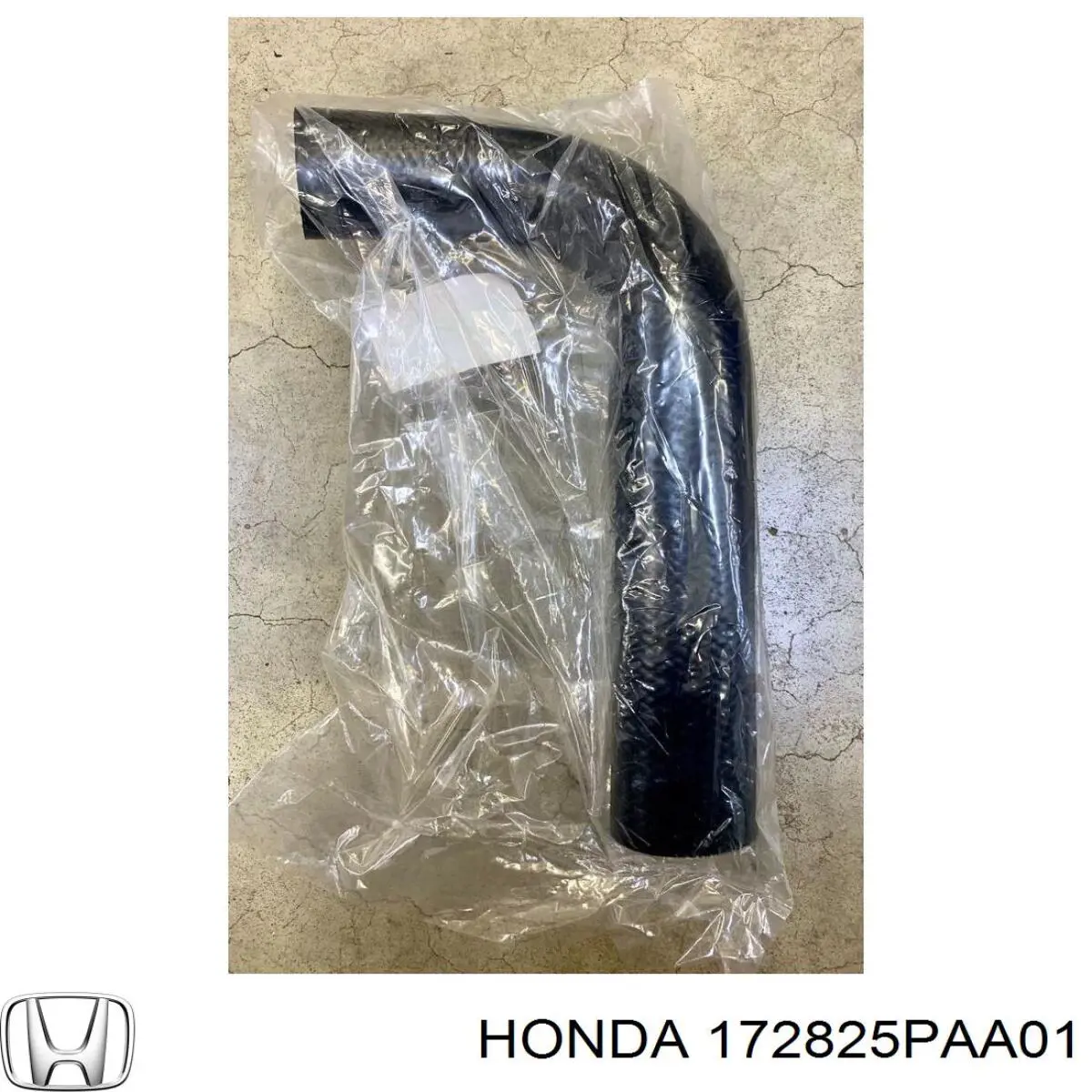  Honda 172825PAA01 цена, от 88.69 USD