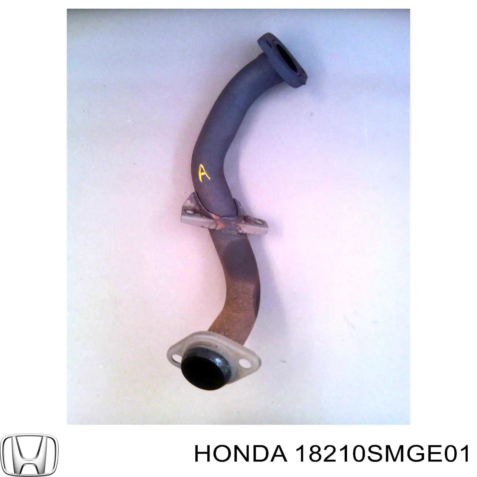 Трубы приемные (штаны) Honda 18210SMGE01 цена, от 56.24 USD
