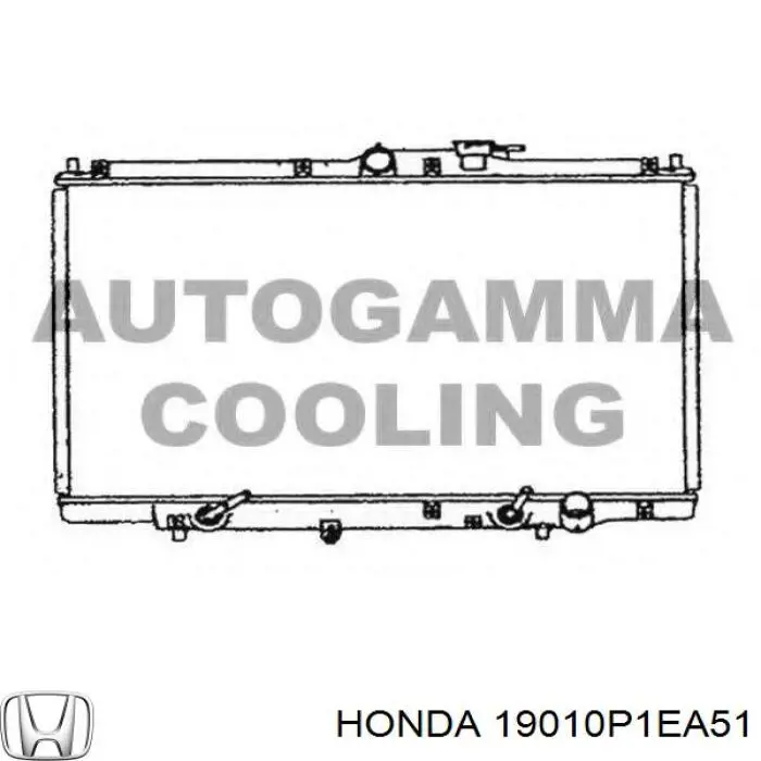 19010P1EA51 Honda Радиатор основной