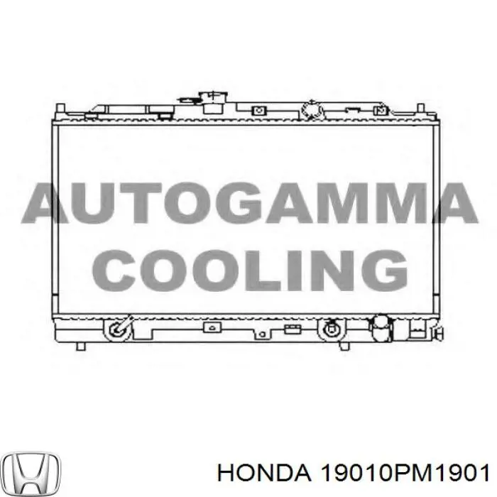 19010PM1901 Honda Радиатор основной