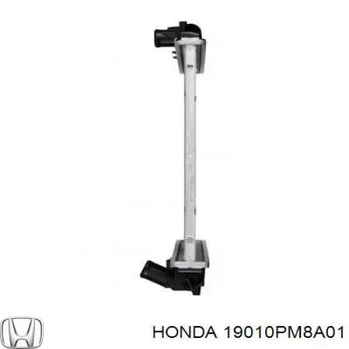 19010PM8A01 Honda