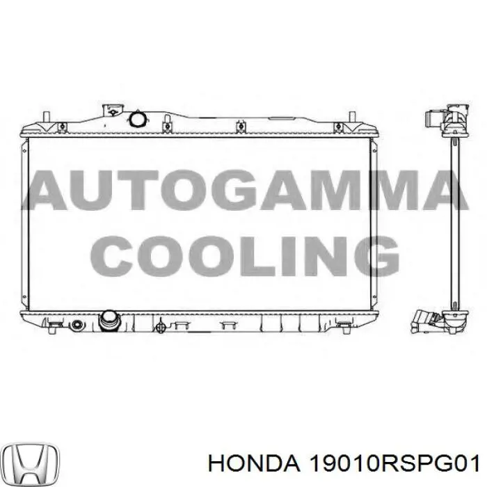 19010RSPG01 Honda Радиатор основной