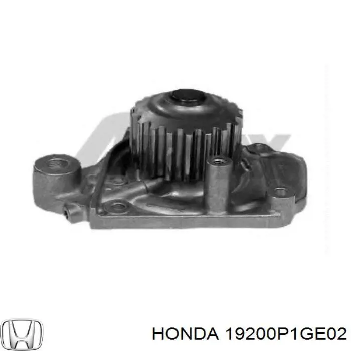 Bomba de agua 19200P1GE02 Honda