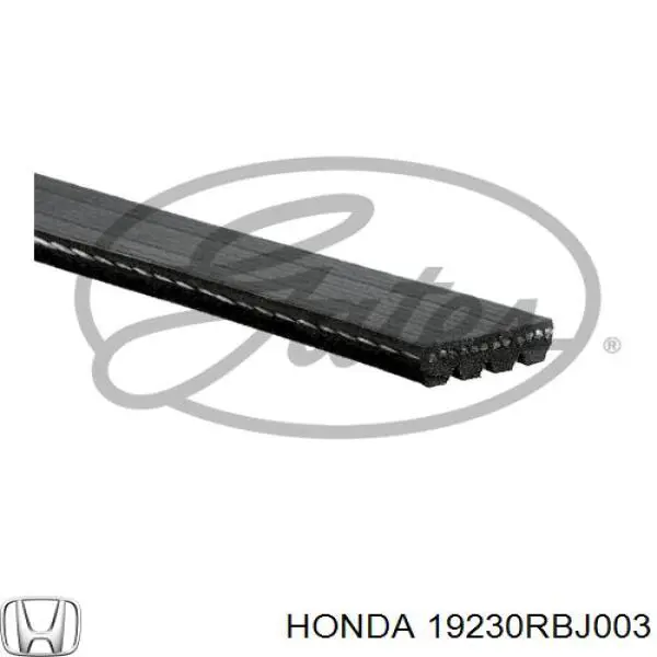 Ремень генератора 19230RBJ003 Honda