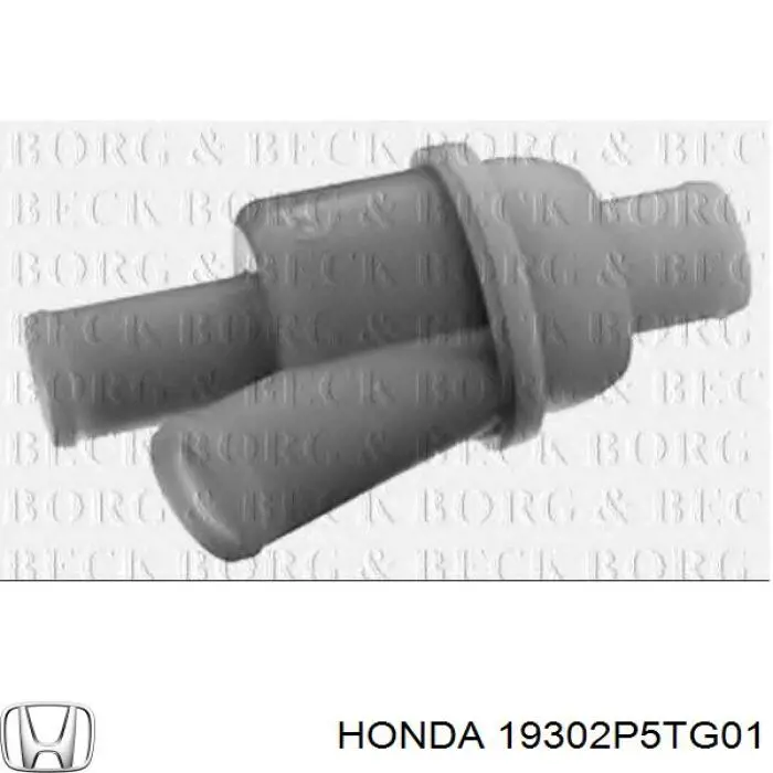 Termostato, refrigerante 19302P5TG01 Honda