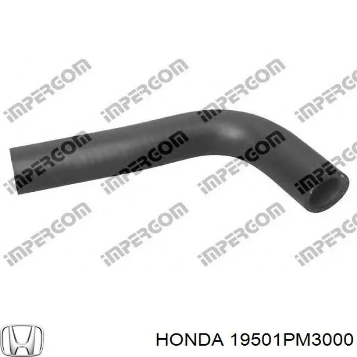 Купить 19501PM3000 Honda Патрубок радиатора