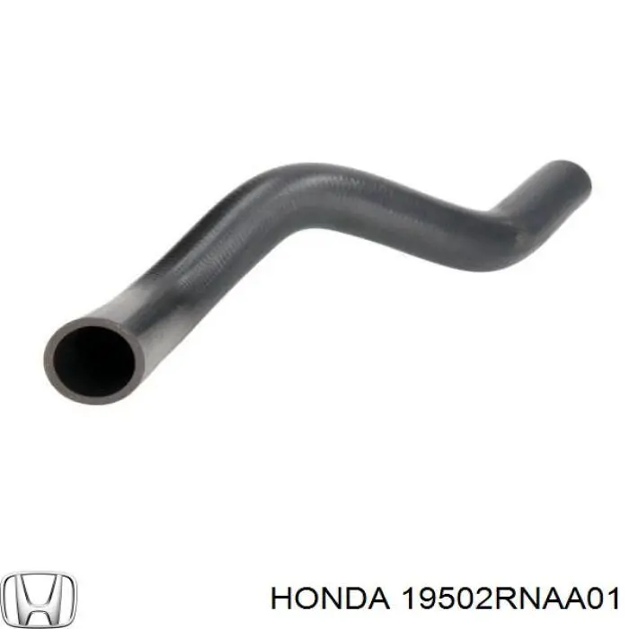 Шланг радиатора, нижний Gates 052011 цена, от 8.48 USD