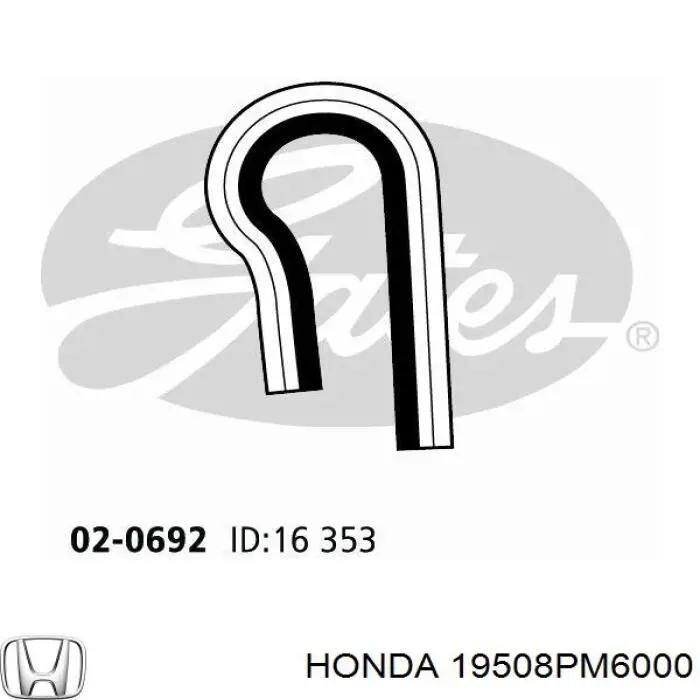  Honda 19508PM6000 цена, от 8.62 USD