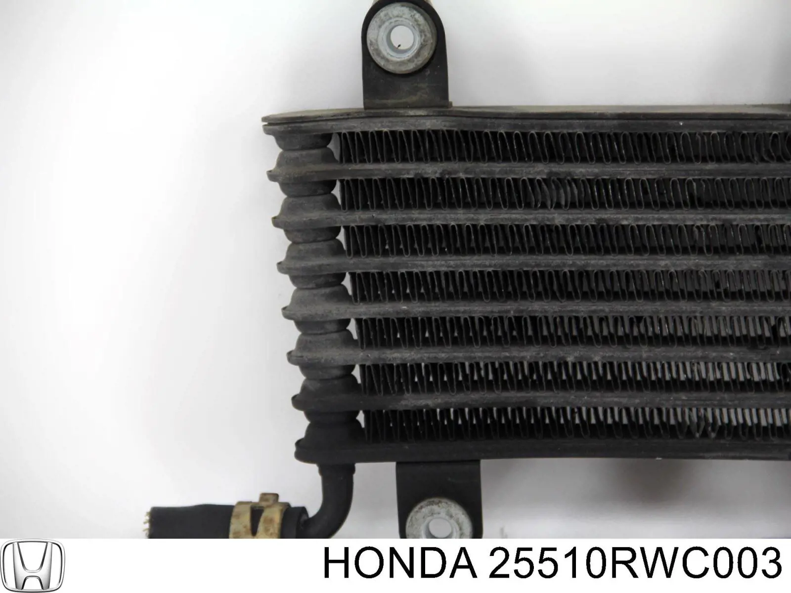  Honda 25510RWC003 цена, от 126.98 USD