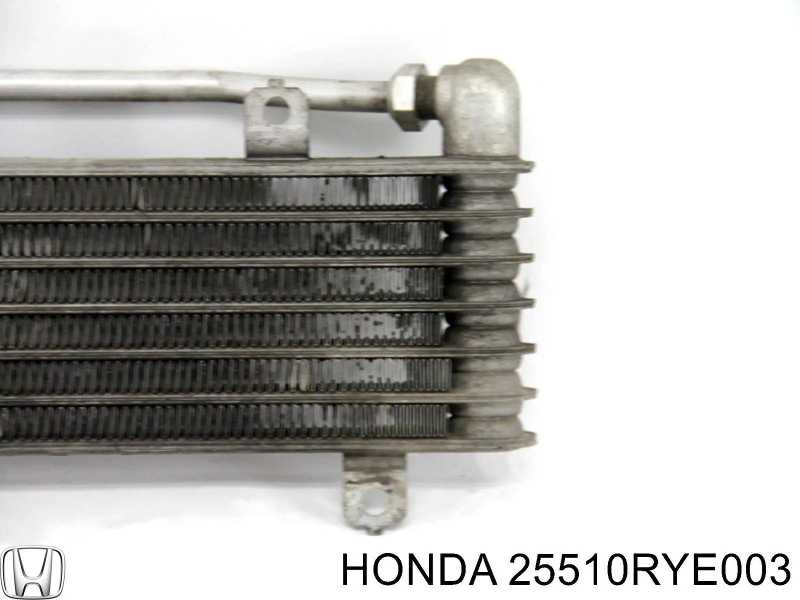 25510RYE003 Honda Радиатор охлаждения, АКПП