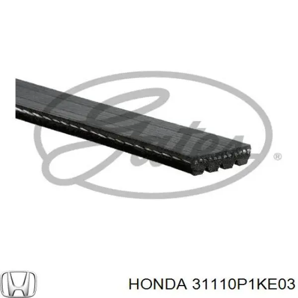 Купить 31110P1KE03 Honda Ремень генератора