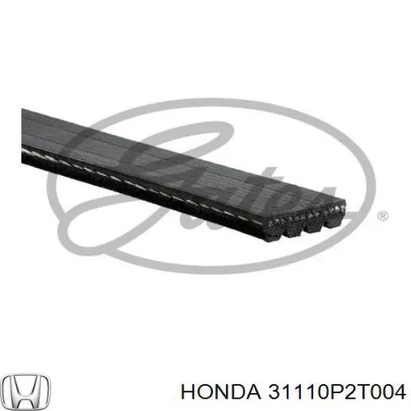 Ремень генератора 31110P2T004 Honda