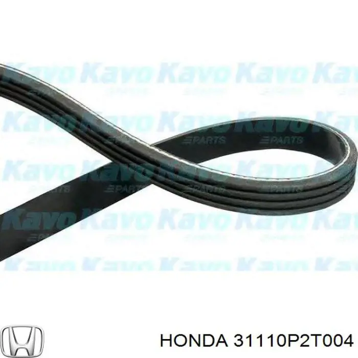 Купить 31110P2T004 Honda Ремень генератора