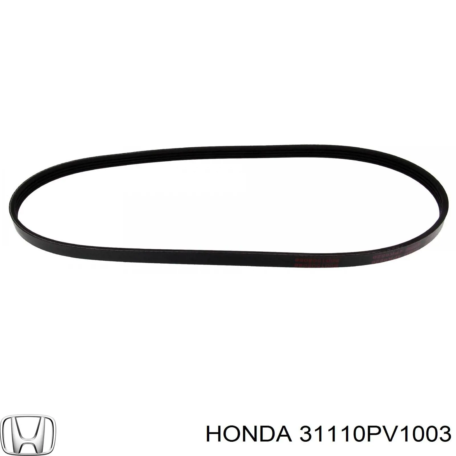 31110PV1003 Honda 