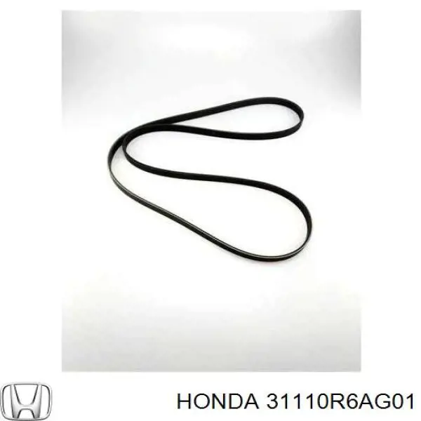 31110R6AG01 Honda Поликлиновый ремень