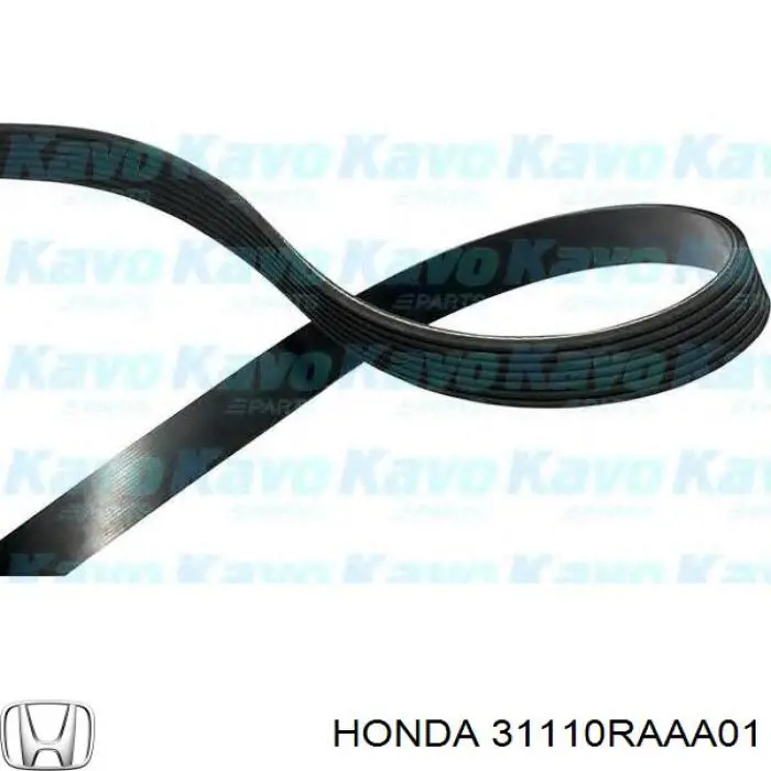 Клиновый ремень Honda 31110RAAA01 цена, от 11.31 USD