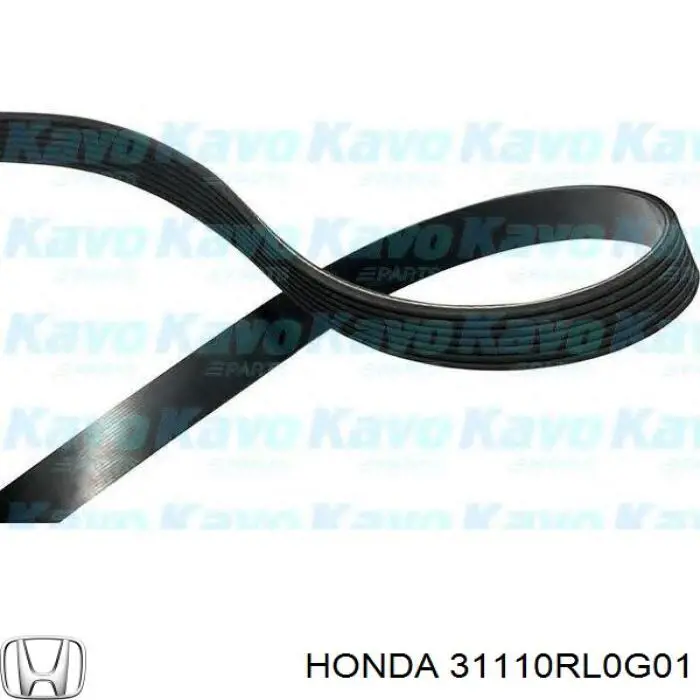 Correa trapezoidal 31110RL0G01 Honda