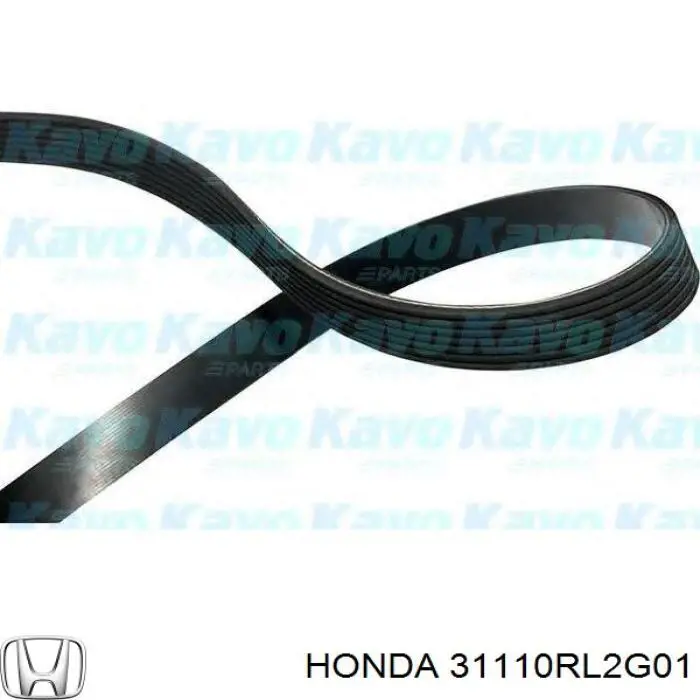 Клиновый ремень Honda 31110RL2G01 цена, от 26.27 USD