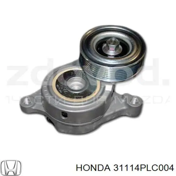  31114PLC004 Honda