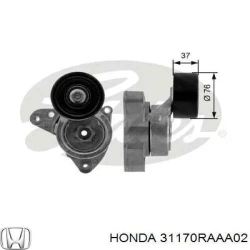 Reguladora de tensão da correia de transmissão 31170RAAA02 Honda